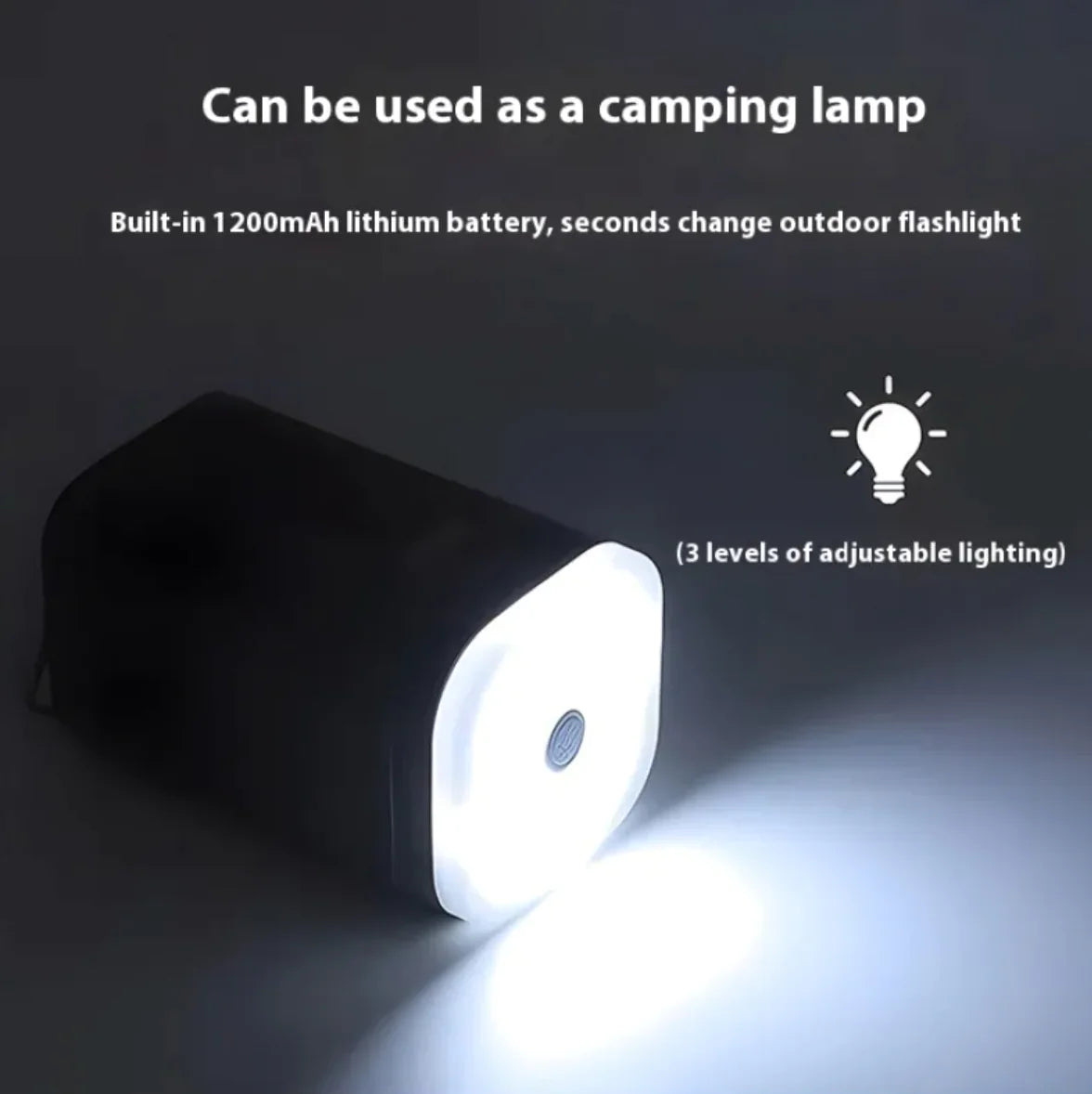 Camping Air Pump & Light